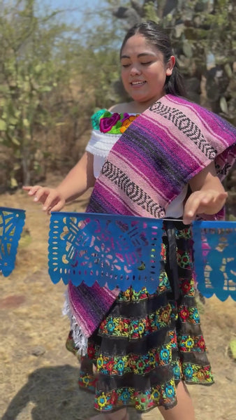 Mexican party banner blue